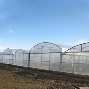 Agricultural Polycarbonate Sheet Greenhouse Turnkey Project Serre Agricole