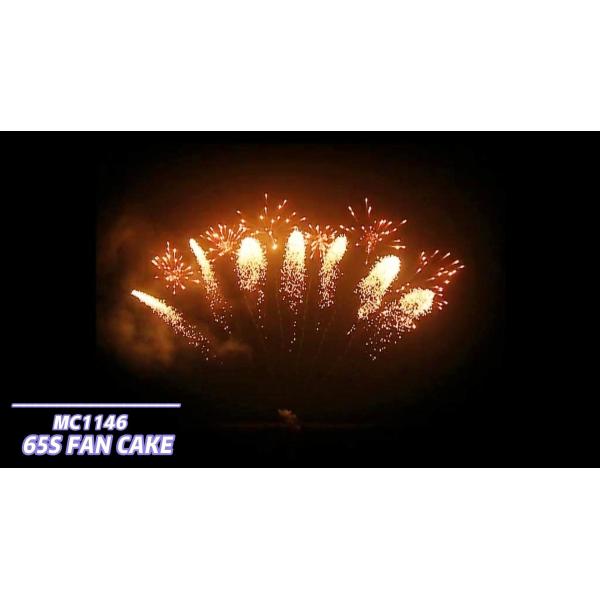 Buy Mandarin Fireworks Pyrotechnics 65 Shots Fan Shaped Fireworks at wholesale prices