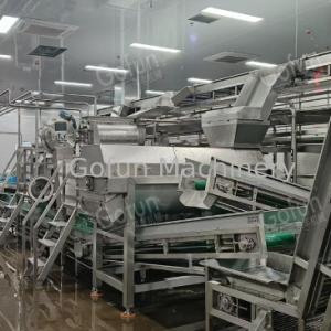 Custom Vegetable Processing Line for Juice Paste Sauce 60-1500 t/d