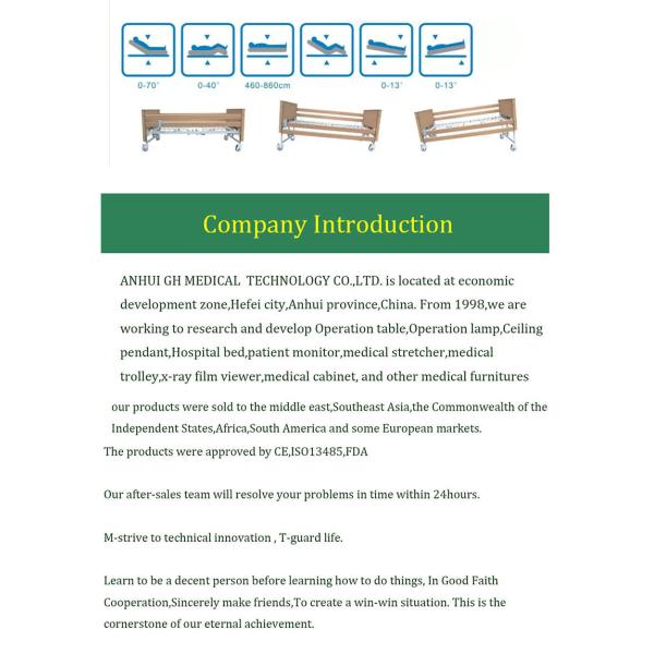 Adjustable Medical Hospital Beds 1psc Ctn OEM