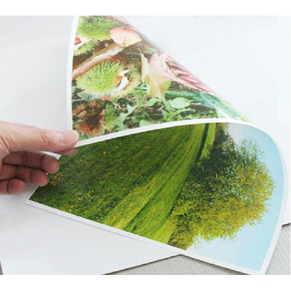 Dye Ink Printing A4 Double Sided Glossy Inkjet Photo Paper 160 Gram