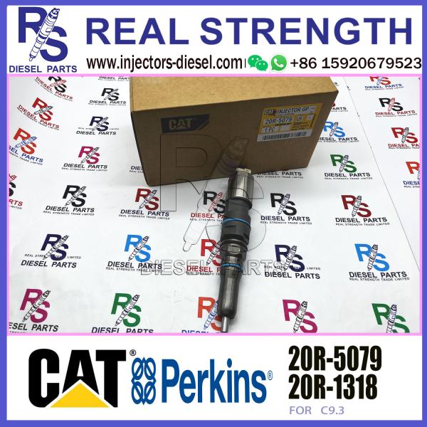 Common Rail Diesel Fuel Injector 456-3544 4563544 20R-5079 For Caterpillar C9.3 Engine 336E