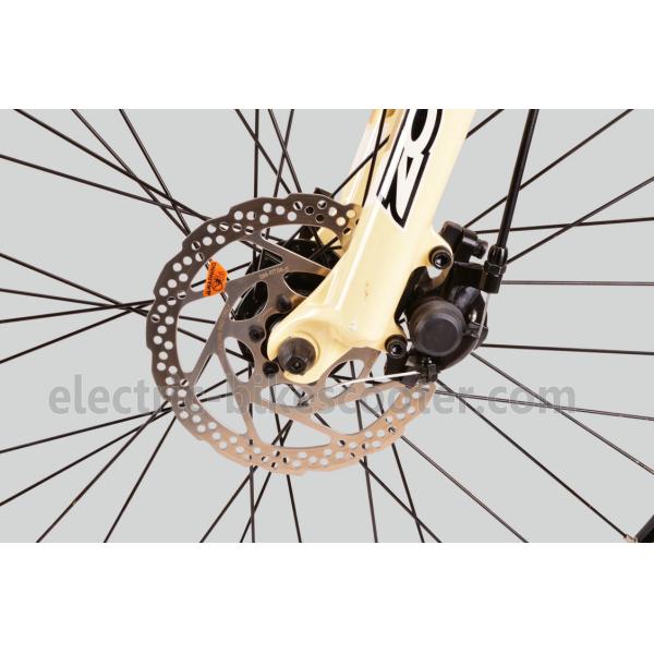 32km/H Mens Mid Motor Electric Bike , 36V 350W Mid Motor Electric Mountain Bike