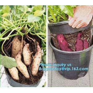 Plastic Garden Planter Pot Vegetable Growing Container Grow Vegetables: Potato,
