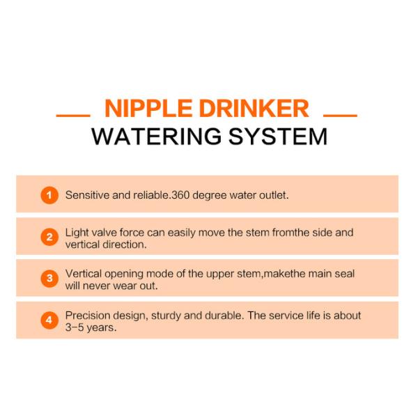 Poultry Automatic Chicken Drinking System Nipple Drinker Supplier 1