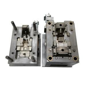 Professional SKD61 S136 Peek Molding Plastic Injection Moulds