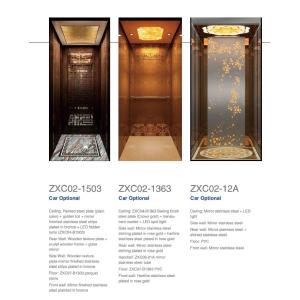 Quality Villa elevator ZXC02-1503, ZXC02-1363, ZXC02-12A for sale