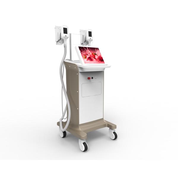 Buy 2014 Newest-released!!! The most featured Cryolipolysis Slimming Device Green Vertical at wholesale prices