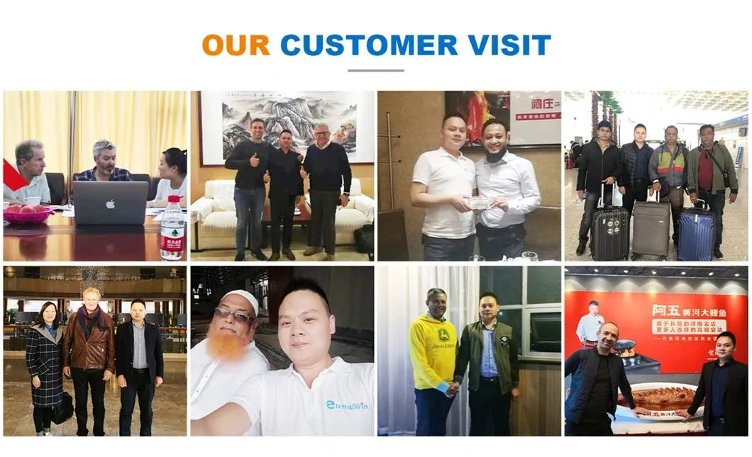 High Quality Mobile Electric Mini Knuckle Boom Spider Crane Basket 5ton Price