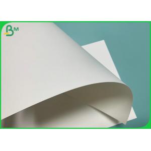260gsm 280gsm 740mm Roll Cup Stock 1 Side PE Paper For Making Paper Cups