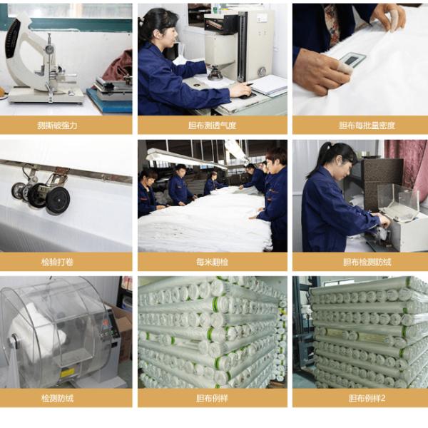 320T 360T 400T 100 Percent Polyester Taffeta Material Waterproof For Downbag