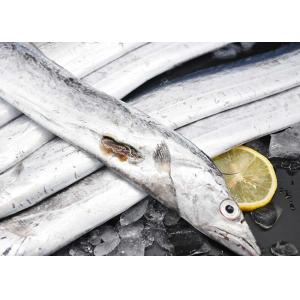 Shihan Swimming Crab Frozen Ribbon Fish Natural Seafood Trichiurus Lepturus