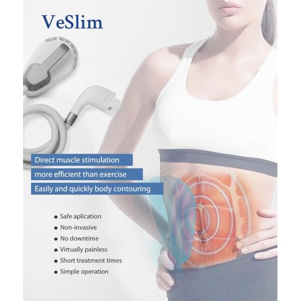 rectus abdominis (3).png