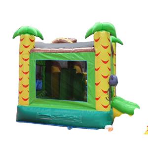 5-7 Years Age Range Inflatable Bouncy Castle Combo with Customized Color Outdoor