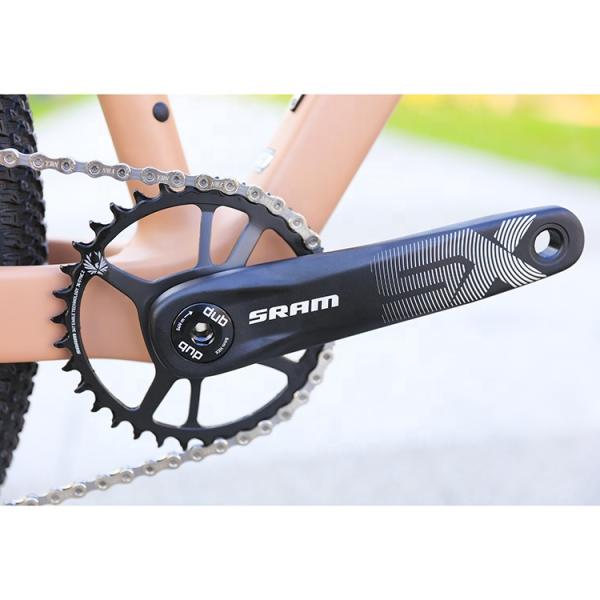 Aluminum Alloy Fork 29 Inch Mountain Bike with Hydraulic Disc Brake and Front Suspension