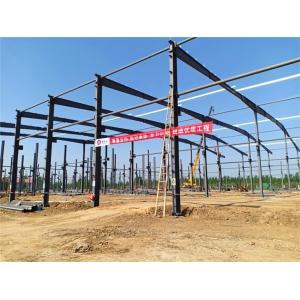 Famous Steel Structure Shopping Mall Market
