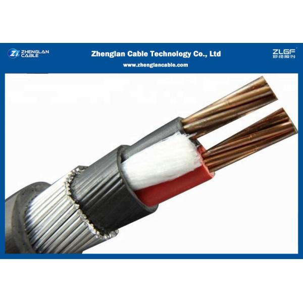 0.6/1KV Two Cores unarmoured XLPE Insulated Power Cables（CU/XLPE/LSZH/DSTA