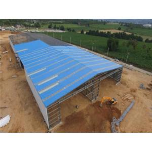 Environmental Friendly Innovative Steel Structures Cattle Cow Steel Framed Farm
