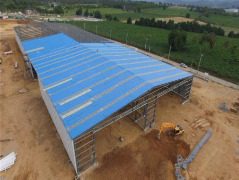Environmental Friendly Innovative Steel Structures Cattle Cow Steel Framed Farm