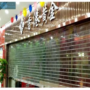 Commercial Use 3000mm Height 16mm Tube Transparent Roller Door