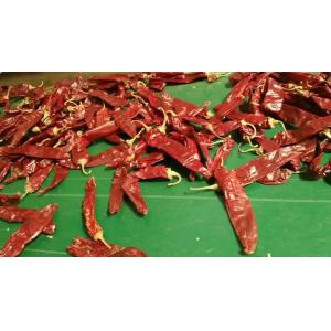 New Crop Premium Dried Guajillo Chili