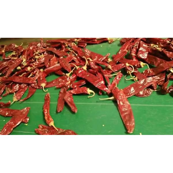 Buy Dehydrate Sweet Paprika Pepper Non Irradiated Dried Red Chili Pods 140 Atsa at wholesale prices