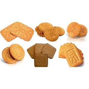 Tray Type Soft Biscuit Biscuit Rotary Moulder Machine With Rotary Oven