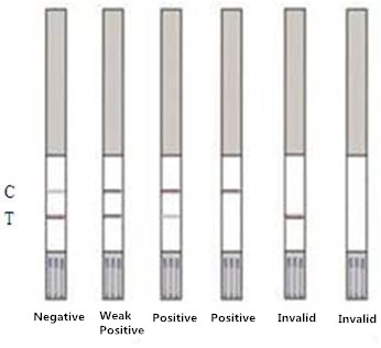 Erythromycin Rapid Test Strip For Milk Using
