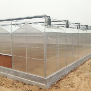 Inside Outside Shading System Hot Galvanized Steel Frame Large Polycarbonate