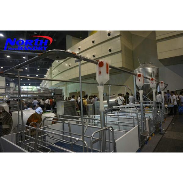 Buy Piggery automatic drinking system automatic pig feeding system at wholesale prices