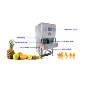 400 KG Fruit Vegetable Processing Machine Pineapple Peeling Machine