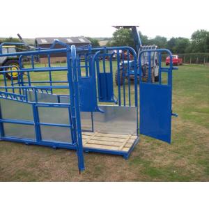Australia standard galvanized cattle panel fence Cattle Crush,Cattle Chute