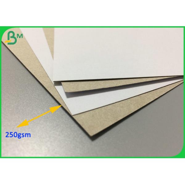 Buy Different Gram Coated White Top Test Liner Board Natural Pulp at wholesale prices