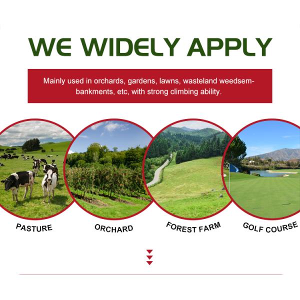 New Zero Turn Lawn Mower 7" Commercial Gasoline Riding Lawn Mower Tractor Garden Lawn Mower