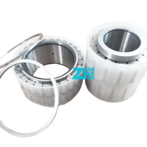 Double Row Radial Cylindrical Roller Bearing F-238900.RNN Cylindrical Roller