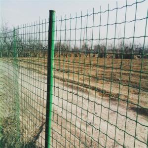 Holland Wire Mesh in Low Carbon Steel Wire PVC Coated