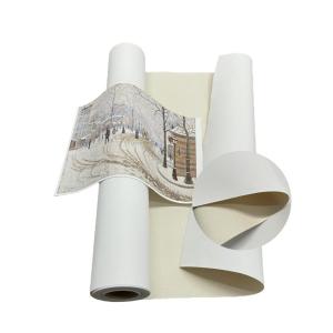 Printable Art Canvas 360gsm Inkjet Printing Pure Cotton Canvas Roll