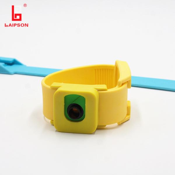Buy 20cm Tpu 356mm*30mm Cattle Leg Band In Green at wholesale prices