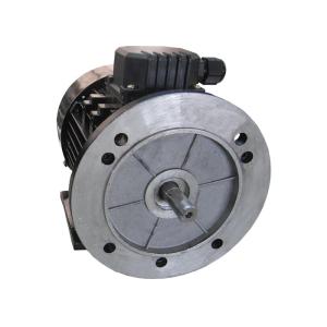 China Electric IE2 Motor , 3 Phase AC Induction Motor Low Noise 7.5HP IEC Standard MS Series on sale