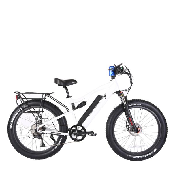 Customized Electric Bicycle 48v 500w Full Suspension E Bike with 13 AH Down Tube Battery