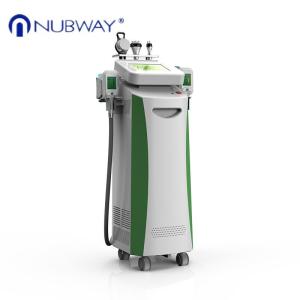 New Arrival cryolipolysis freezing fat beauty machine / rf cavitation cryolipoly