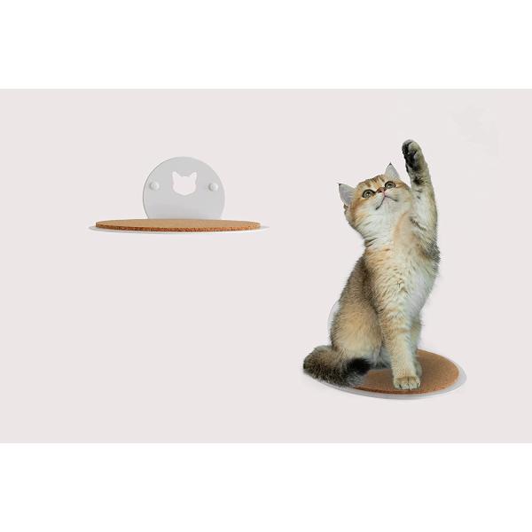 Standard Cat Climbing Furniture with Black Powder Coated Pet Hammock and Pet Condo