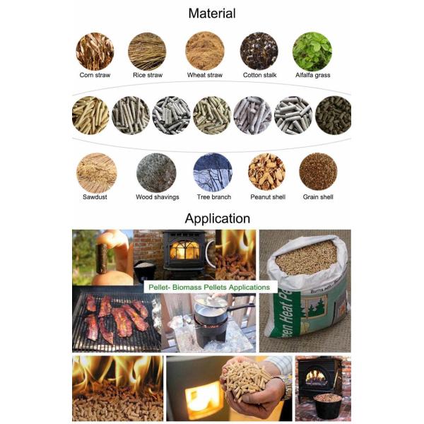 Biomass Wood Sawdust Rice Husk Straw Wood Pellet Mill Pelletizer Machine Pellets Making Machine