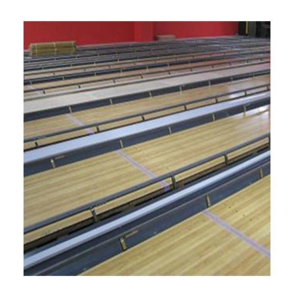 17m Bowling Lane Bumper Cricket Bowling Machine Practice Spare Parts with
