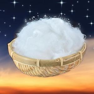 Innovative Low Melt Polyester Fiber for Enhanced Nonwoven Adhesion