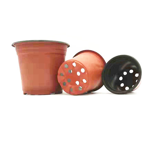 Buy Bicolor Plastic Succulent Plants Flower Pot at wholesale prices
