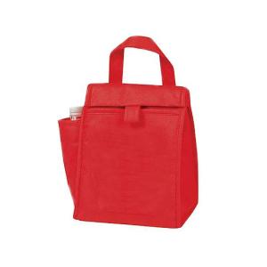 eGreen Lunch Bag with Bottle Pocket, Personalized Cooler Lunch Bag odm-l25