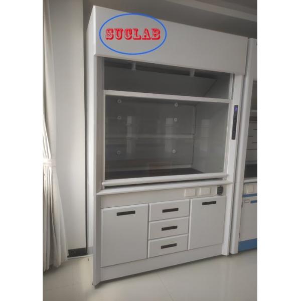 Buy 100m3/h Airflow Lab Fume Hood Supply Manual/Automatic Control System for Laboratory Safety at wholesale prices