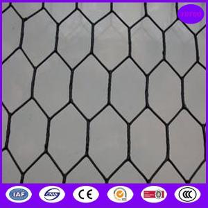 Black Vinyl Chicken Wire Mesh Panels for construction