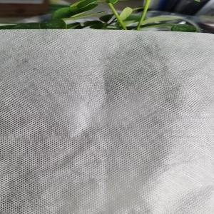 Embroidery Backing Interlining Embroidered PVA Film From GAOXIN Different